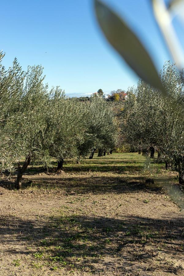 Managraia Βίλα Μακρύγιαλος Εξωτερικό φωτογραφία